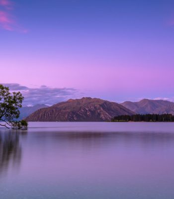 new zealand